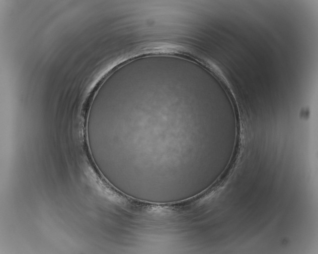 X0000113230835200910011407