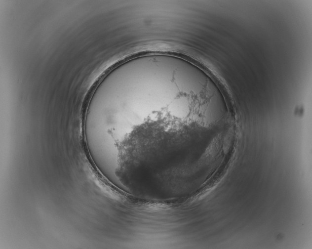 X0000113230837200910011407