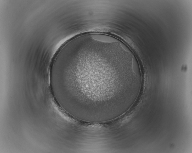 X0000113230838200910011407