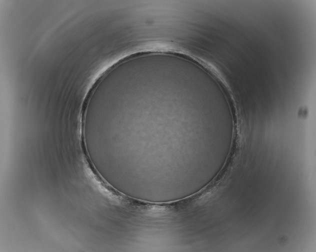 X0000113230839200910011407