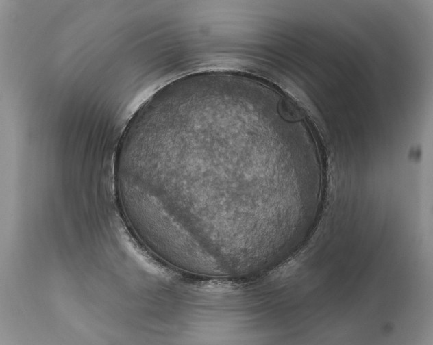 X0000113230842200910011407