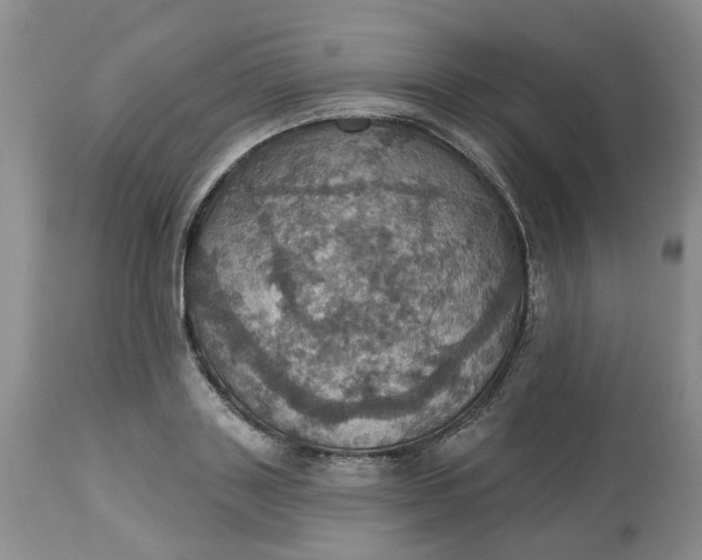 X0000113230843200910011407