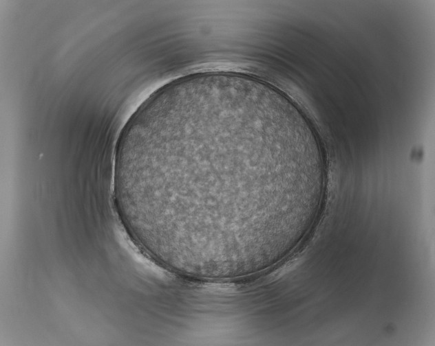 X0000113230844200910011407