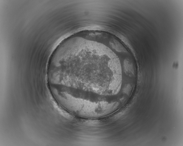 X0000113230845200910011407