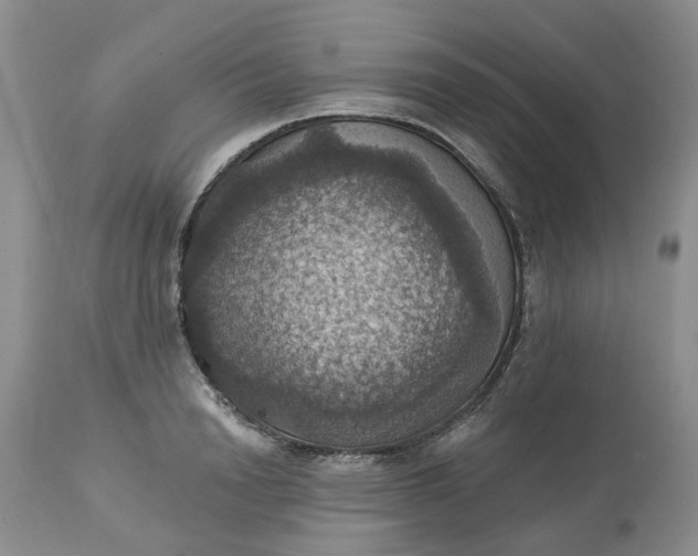 X0000113230846200910011407