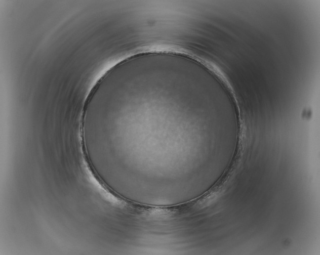 X0000113230847200910011407