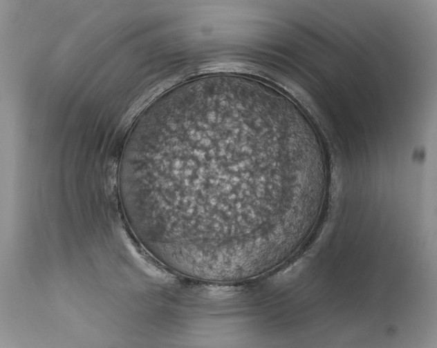 X0000113230849200910011407