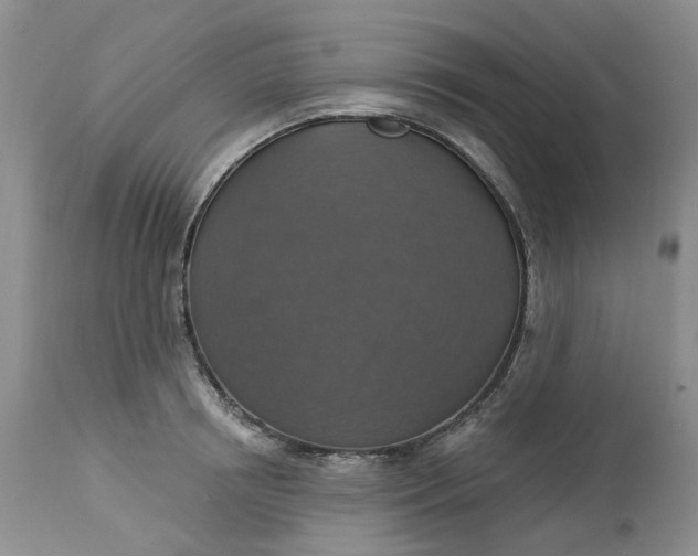 X0000113230850200910011407