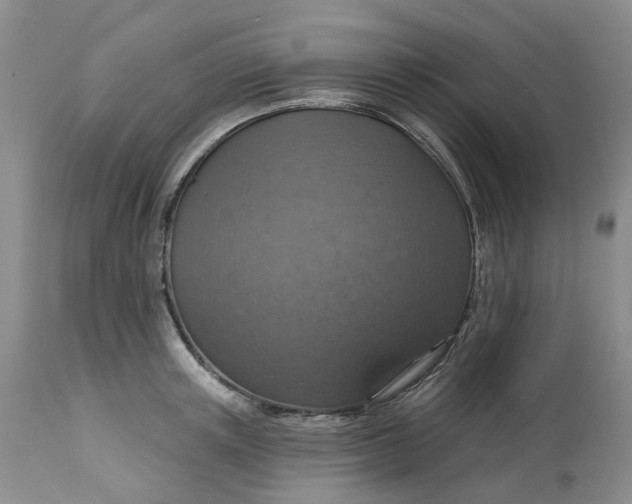 X0000113230851200910011407