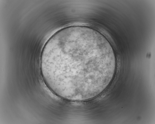 X0000113230852200910011407