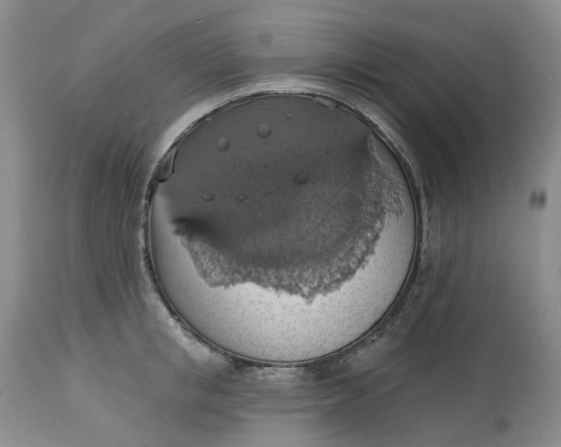 X0000113230853200910011407