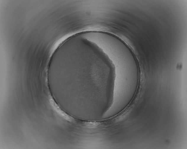 X0000113230854200910011407