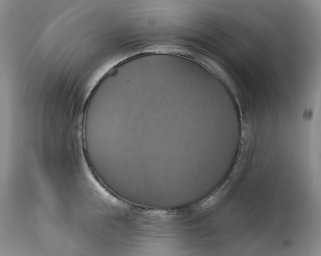 X0000113230855200910011407