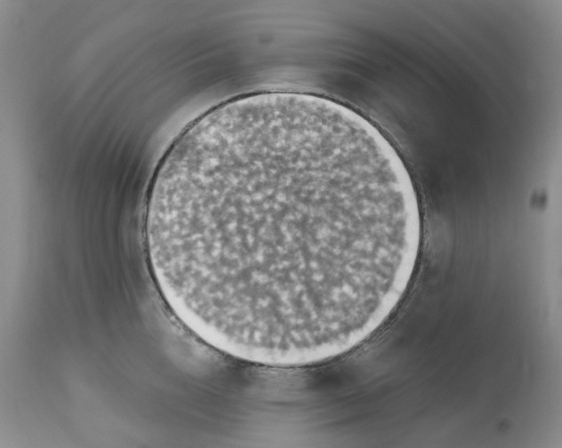 X0000113230856200910011407