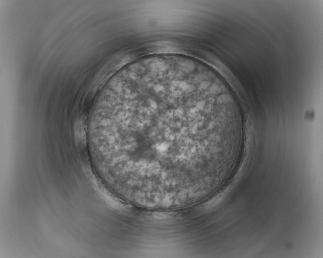 X0000113230857200910011407