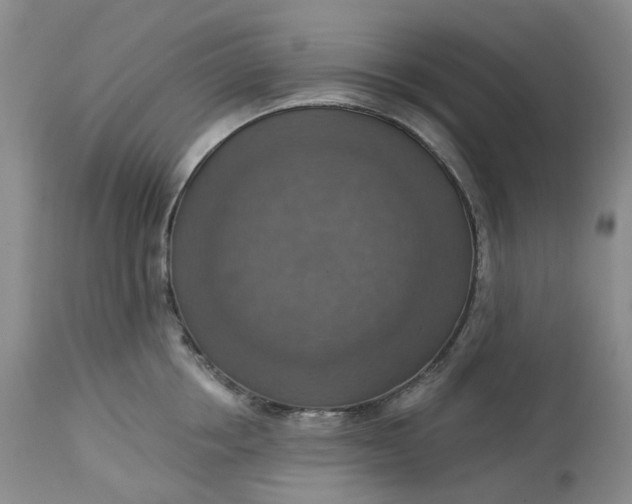 X0000113230858200910011407