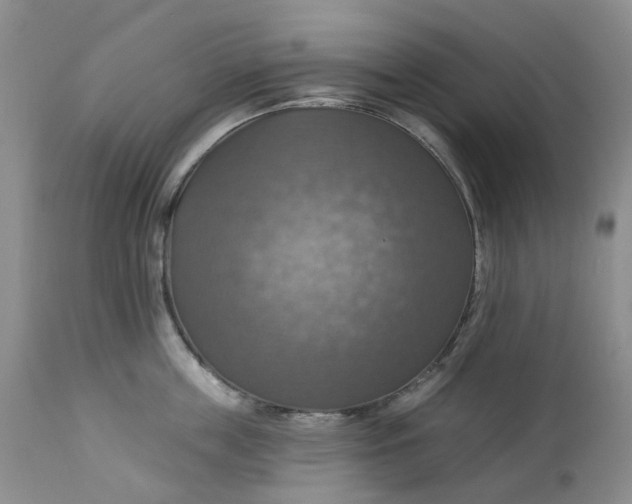 X0000113230859200910011407