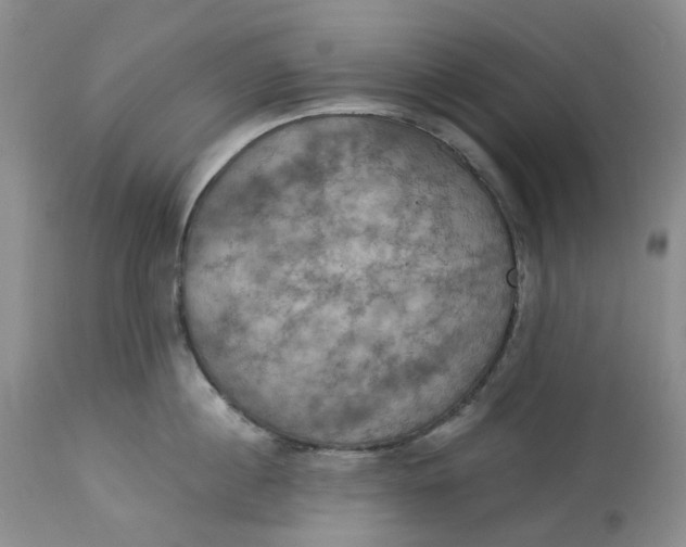 X0000113230860200910011407