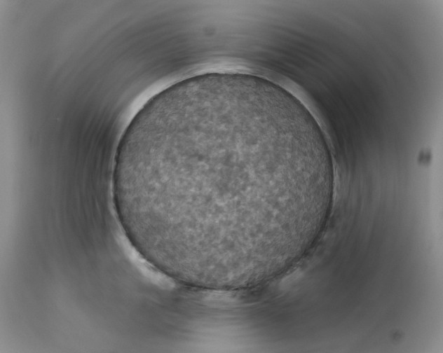 X0000113230861200910011407