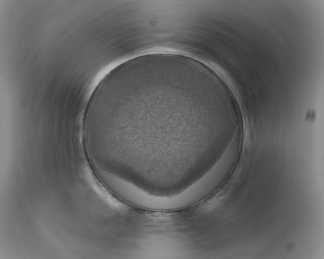 X0000113230862200910011407