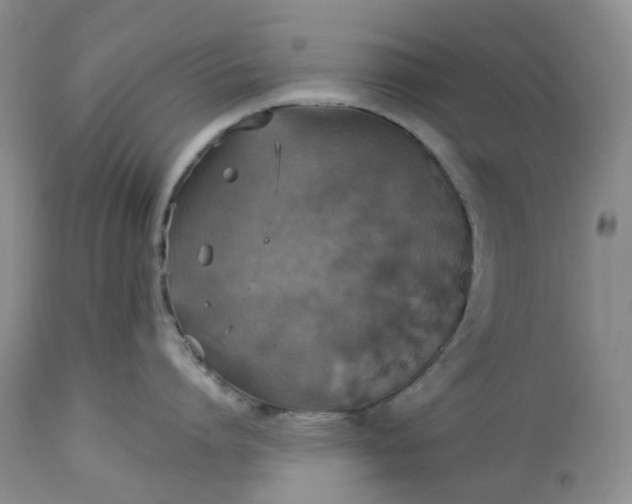 X0000113230864200910011407