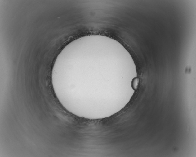 X0000113230865200910011407