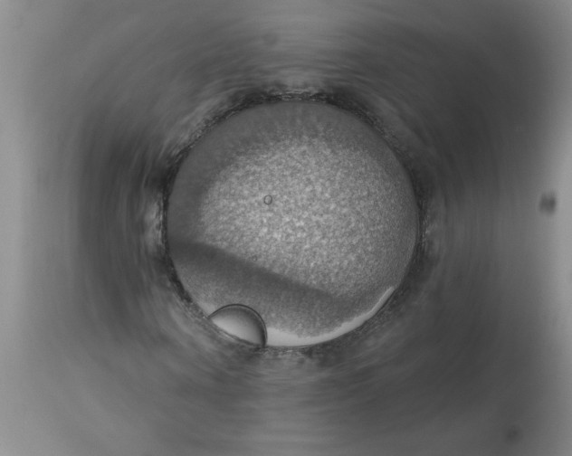 X0000113230866200910011407