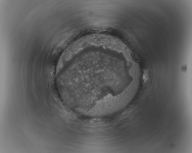 X0000113230867200910011406