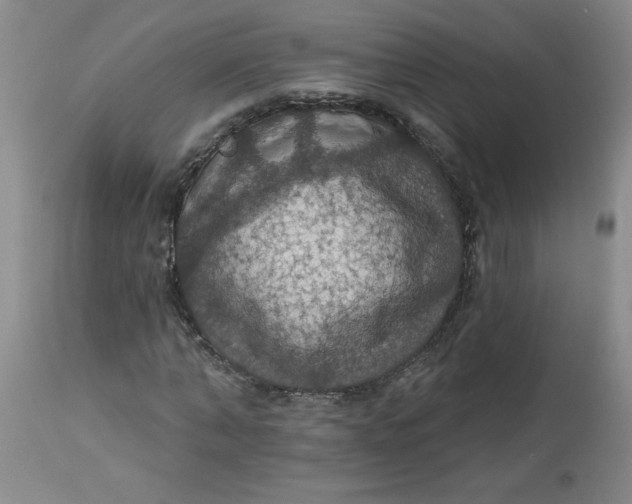 X0000113230870200910011406