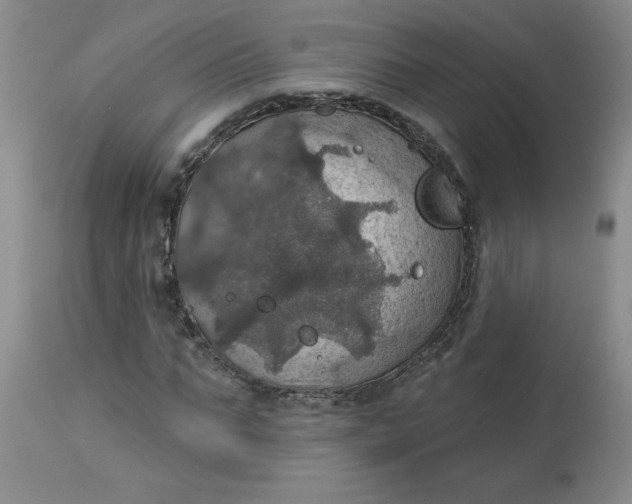 X0000113230871200910011406