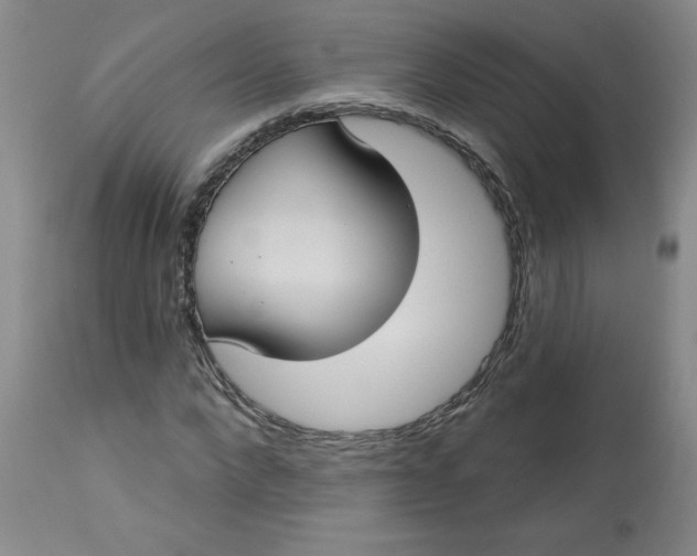 X0000113230872200910011406