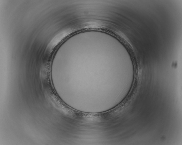 X0000113230874200910011406