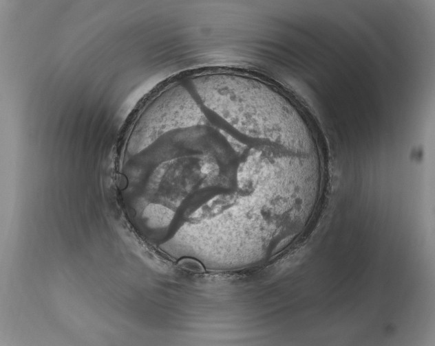 X0000113230875200910011406