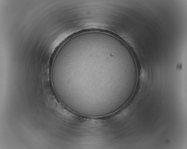 X0000113230877200910011406