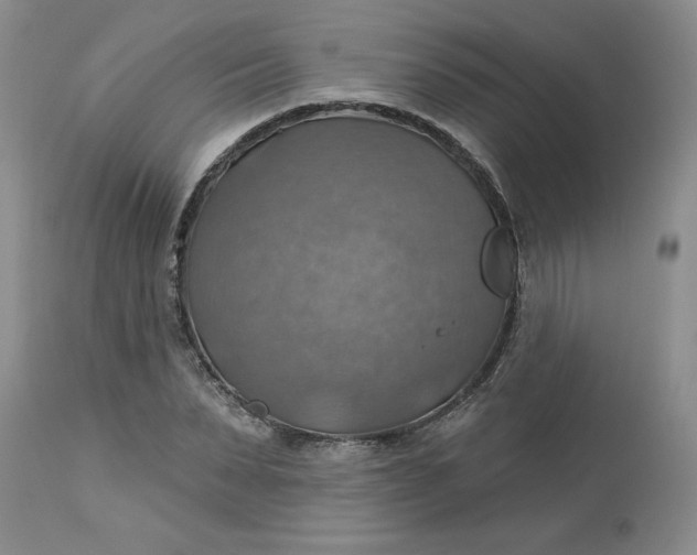 X0000113230879200910011406