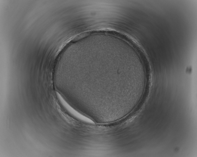 X0000113230881200910011406