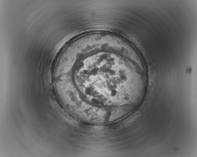 X0000113230883200910011406