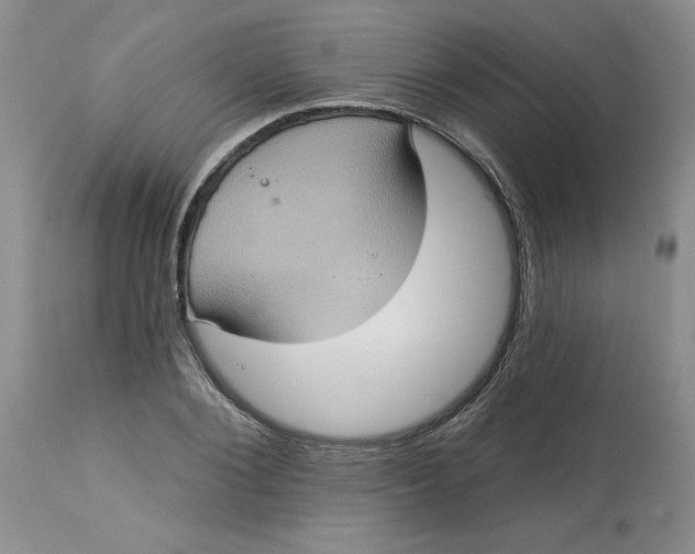 X0000113230884200910011406