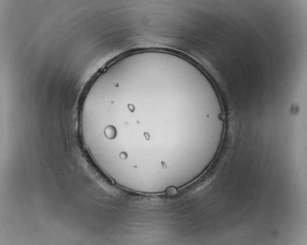 X0000113230885200910011406