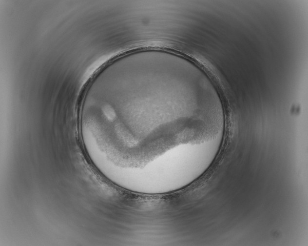 X0000113230886200910011406