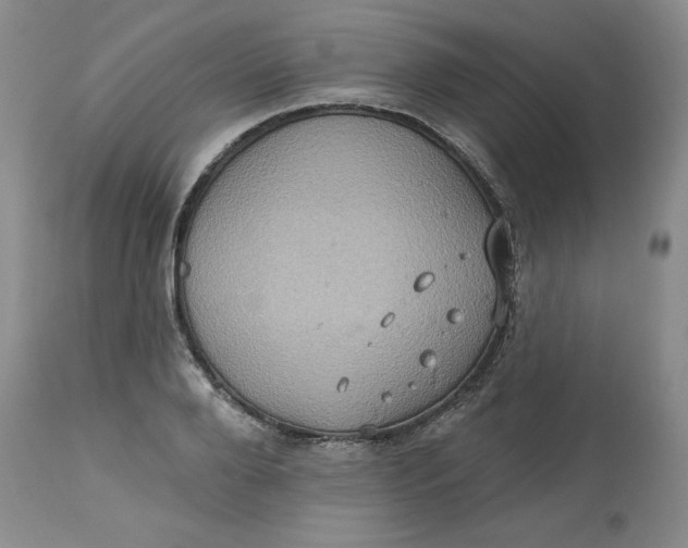 X0000113230888200910011406