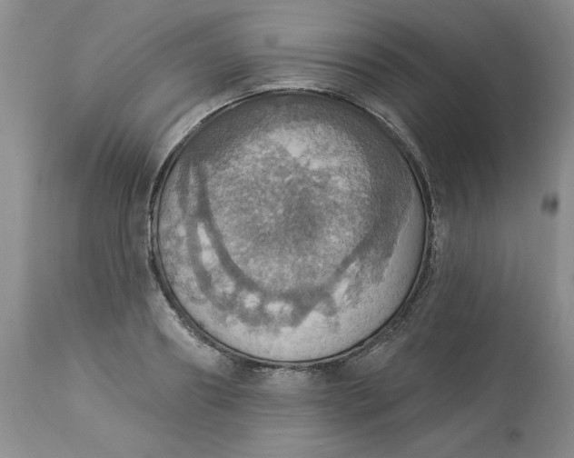 X0000113230890200910011406