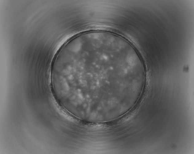 X0000113230891200910011406