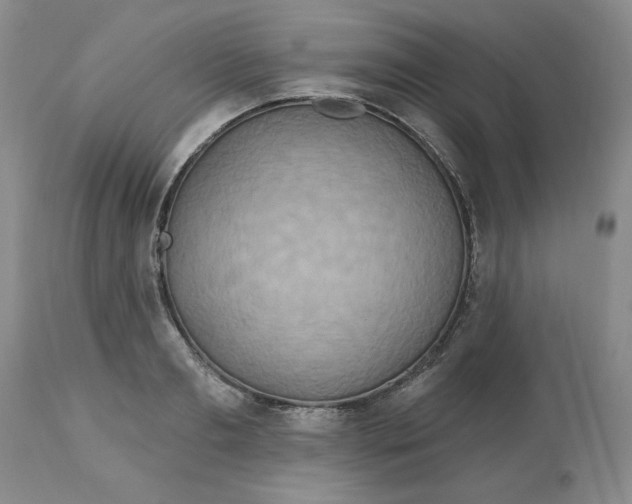 X0000113230893200910011406