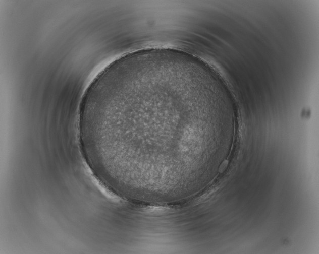 X0000113230894200910011406