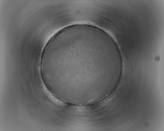 X0000113230895200910011406