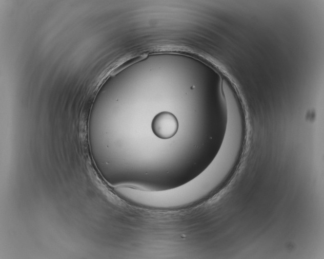 X0000113230897200910011406