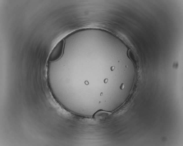 X0000113230900200910011406