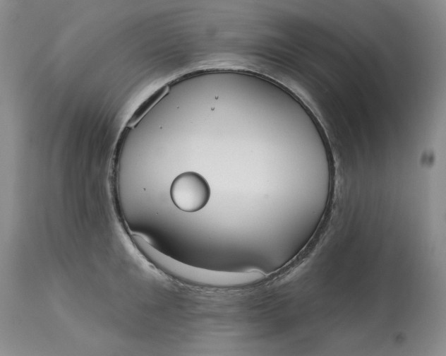 X0000113230901200910011406