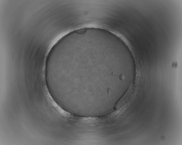 X0000113230902200910011406